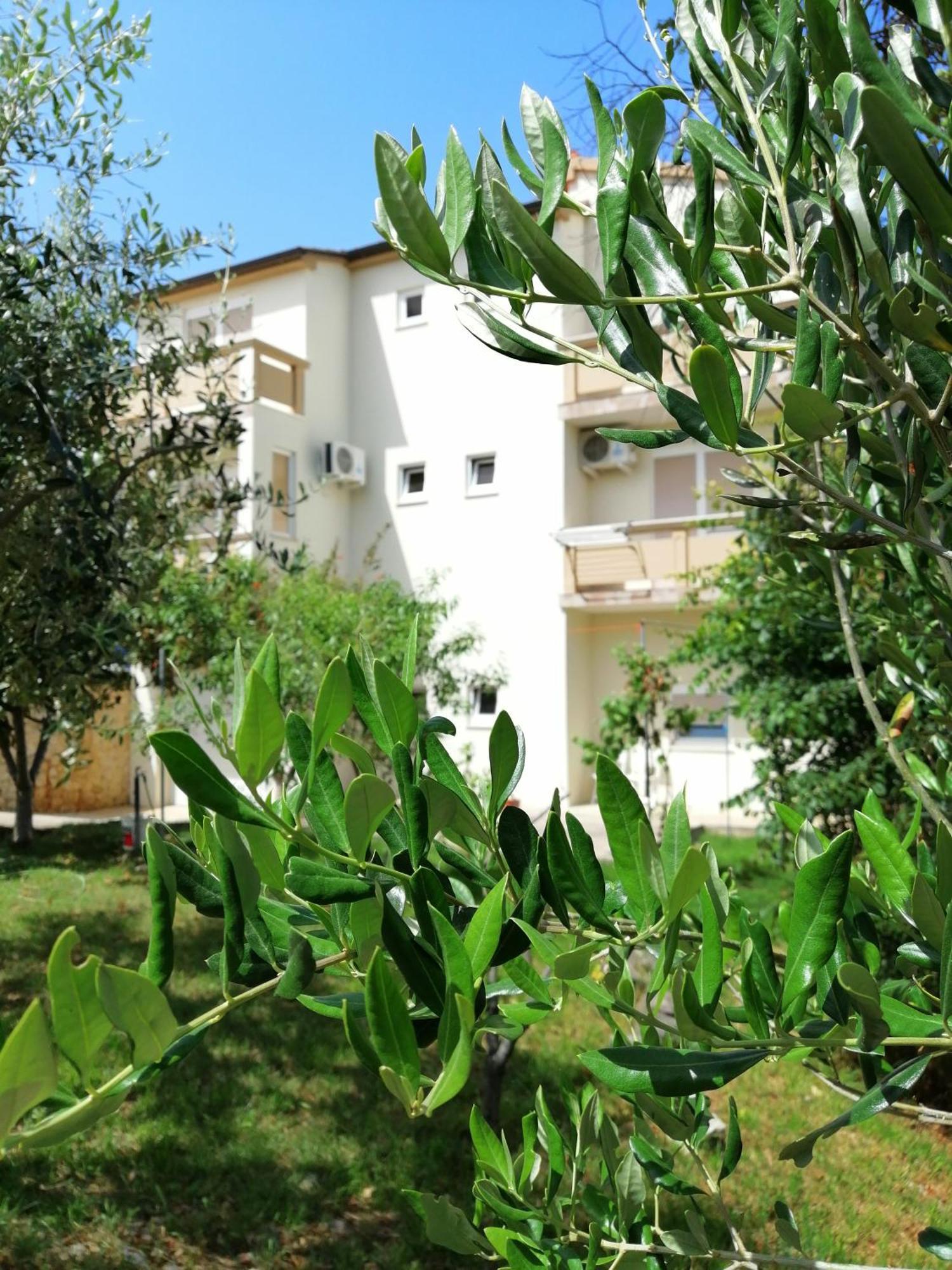 Apartments Monika Nin Esterno foto