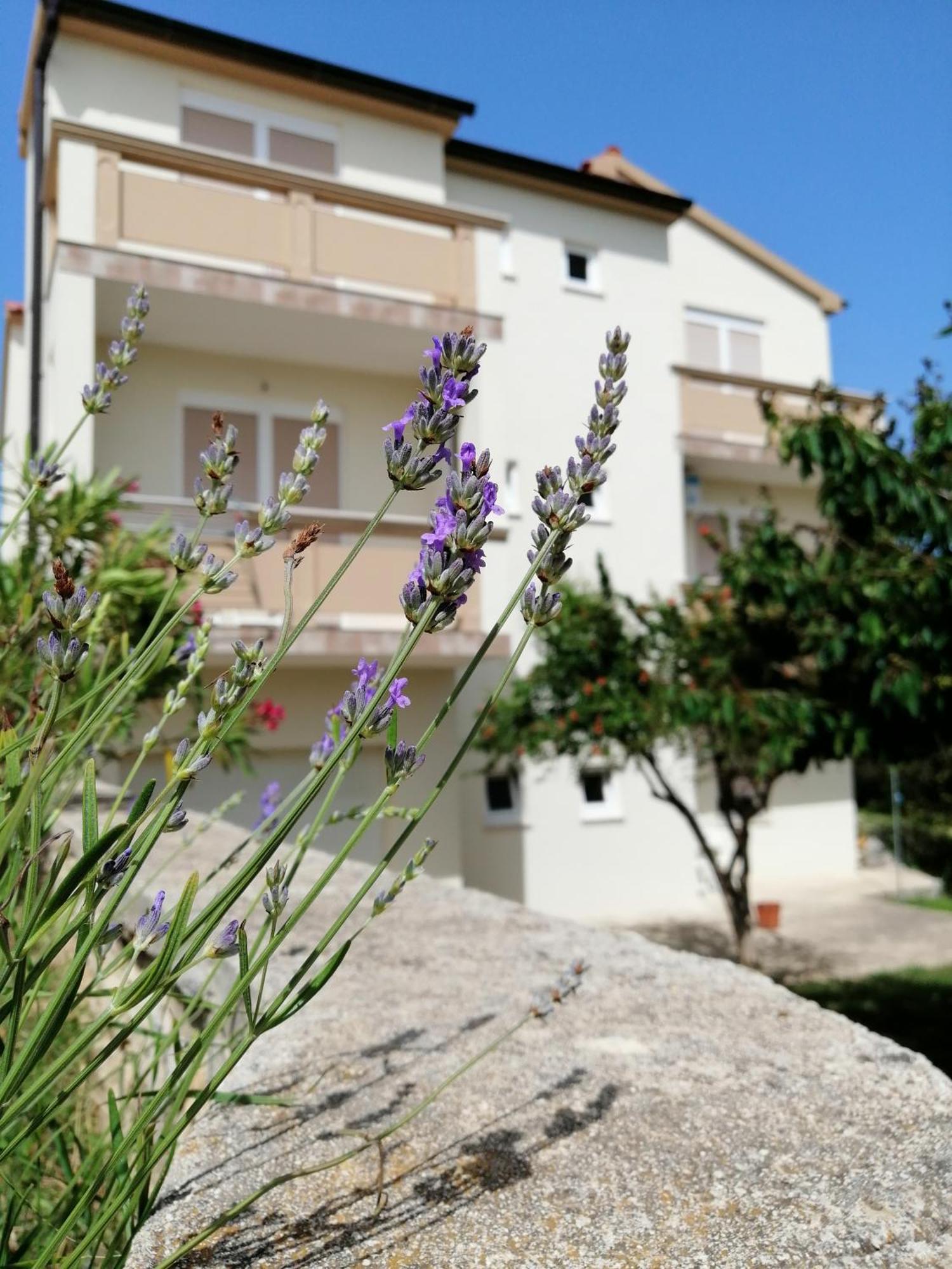 Apartments Monika Nin Esterno foto